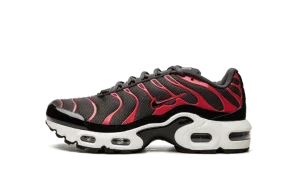 Air Max Plus GS