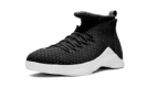 Air Jordan 15 Retro Woven "PSNY - Friends and Family"