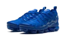 Air VaporMax Plus "Blue"