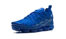 Air VaporMax Plus "Blue"