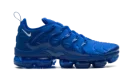 Air VaporMax Plus "Blue"