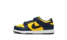 Dunk Low PS "Michigan"