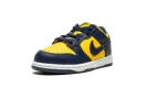 Dunk Low PS "Michigan"