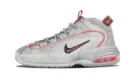 Air Max Penny LE DB (GS)
