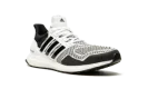 UltraBoost 1.0 DNA
