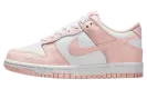Dunk Low GS "'Washed Coral'" IF6172 100