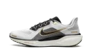 Air Zoom Pegasus 41 "White Metallic Gold"