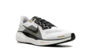Air Zoom Pegasus 41 "White Metallic Gold"