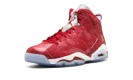 Air Jordan 6 Retro "Slam Dunk"