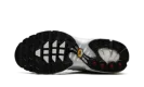 Air Max Plus WMNS "Light Silver"