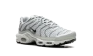 Air Max Plus WMNS "Light Silver"
