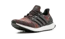 UltraBOOST LTD "MULTICOLOR"