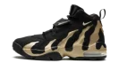 Air DT Max '96 "Colorado Home"