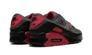 Air Max 90 "Smoke Grey Fire Red" DM0029 007