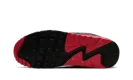 Air Max 90 "Smoke Grey Fire Red" DM0029 007