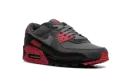 Air Max 90 "Smoke Grey Fire Red" DM0029 007