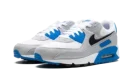 Air Max 90 "Detroit Lions"