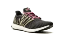 Ultraboost DNA "Animal Pack-Zebra"