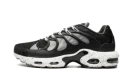 Air Max Plus Terrascape "Off Noir"