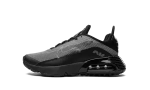 Air Max 2090(GS) CJ4066 001