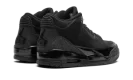 Air Jordan 3 "Black Cat 2025"
