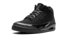 Air Jordan 3 "Black Cat 2025"