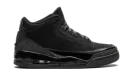 Air Jordan 3 "Black Cat 2025"