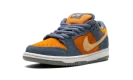 SB Dunk Low Pro "Light Carbon"