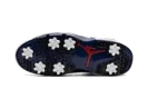 Air Jordan 6 Golf "Olympic"