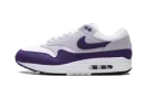 Air Max 1 SC "Field Purple"