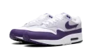 Air Max 1 SC "Field Purple"