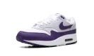 Air Max 1 SC "Field Purple"