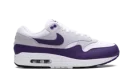 Air Max 1 SC "Field Purple"