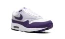 Air Max 1 SC "Field Purple"