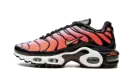 AIR MAX PLUS MNS WMNS "Sisterhood" DO6115 500