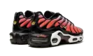 AIR MAX PLUS MNS WMNS "Sisterhood" DO6115 500