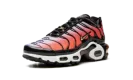 AIR MAX PLUS MNS WMNS "Sisterhood" DO6115 500