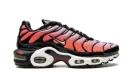 AIR MAX PLUS MNS WMNS "Sisterhood" DO6115 500