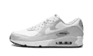 Air Max 90 "Gore-Tex" DJ9779 003