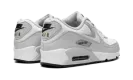 Air Max 90 "Gore-Tex" DJ9779 003