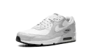 Air Max 90 "Gore-Tex" DJ9779 003