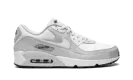 Air Max 90 "Gore-Tex" DJ9779 003