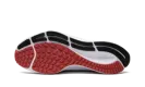 WMNS Air Zoom Pegasus 38 CW7358 101