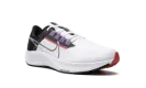 WMNS Air Zoom Pegasus 38 CW7358 101
