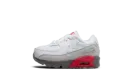 Air Max 90 TD "White Flat Pewter" CD6868 116