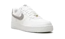 AIR FORCE 1 LO WMNS "United In Victory - White" DZ2709 100
