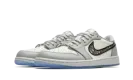 Air Jordan 1 Low "Dior" CN8608 002