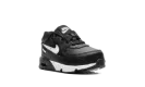 Air Max 90 (TD) CD6868 010