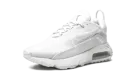 AIR MAX 2090 MNS WMNS "Photon Dust"