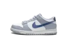 Dunk Low GS "Blue Iridescent" FJ4668 400